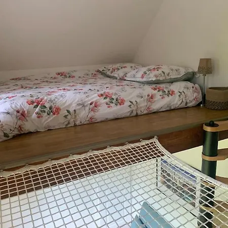 Refait A Neuf Bois-le-Roi (Seine-et-Marne)