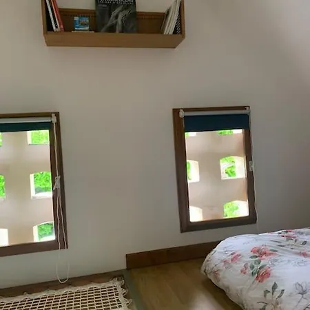 Refait A Neuf Semesterbostad Bois-le-Roi (Seine-et-Marne)